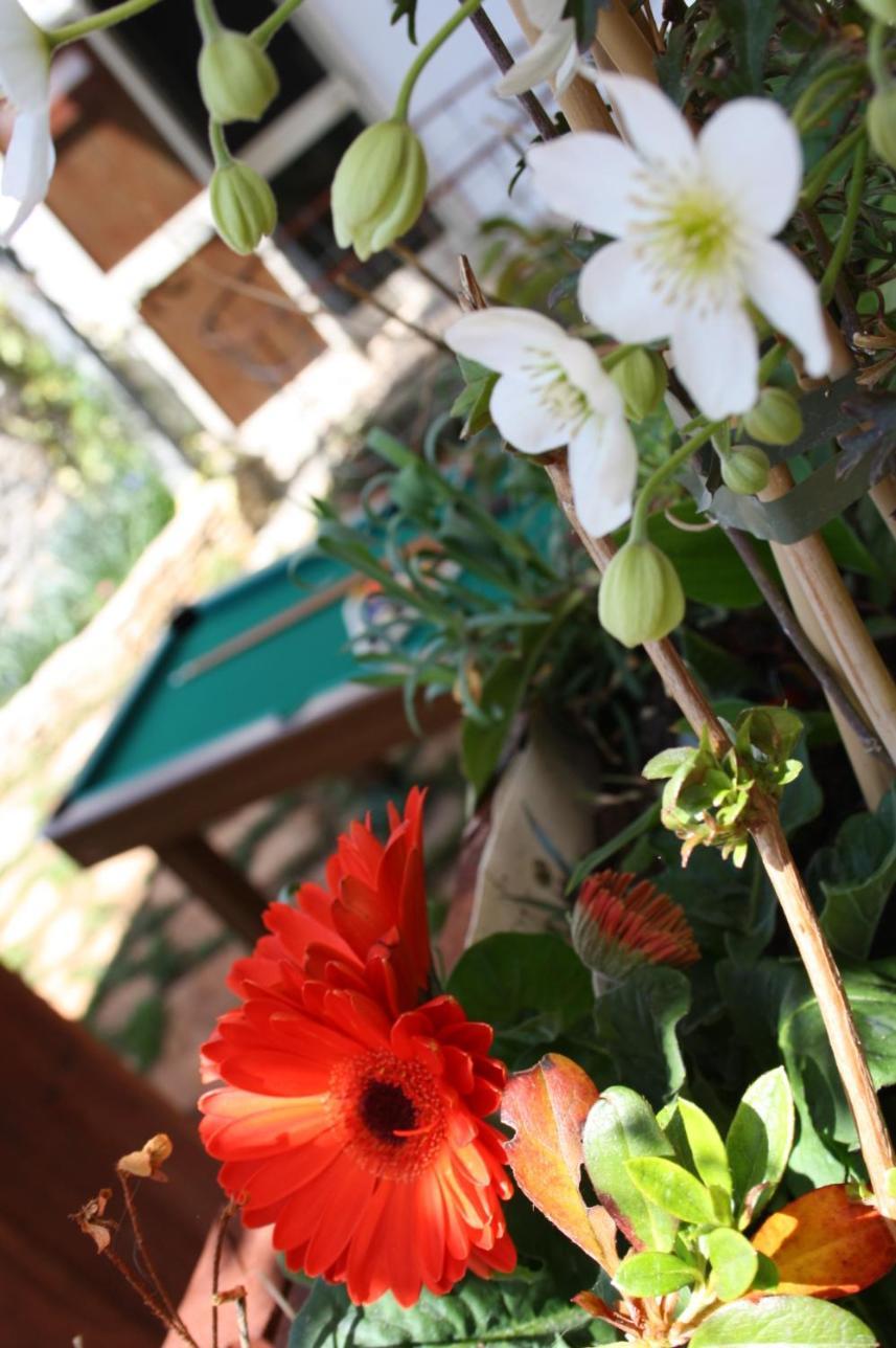 Bed and Breakfast La Cascata Ночі Екстер'єр фото