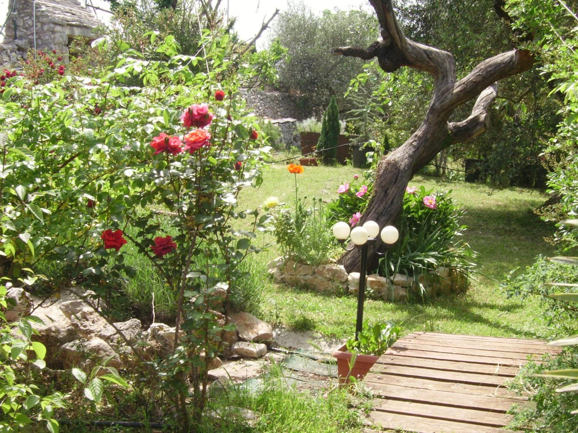 Bed and Breakfast La Cascata Ночі Екстер'єр фото